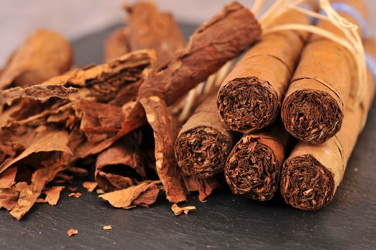 Types of Cigar: Cigar Types Based on Size, Shape and Flavor