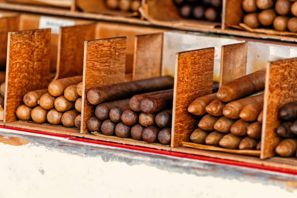 Cuban cigars in boxes in Key West, USA on wooden background. Tobacco traditional handmade manufacture. Smoking and bad habits.