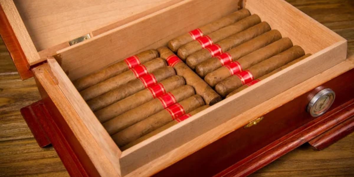 cigar humidor