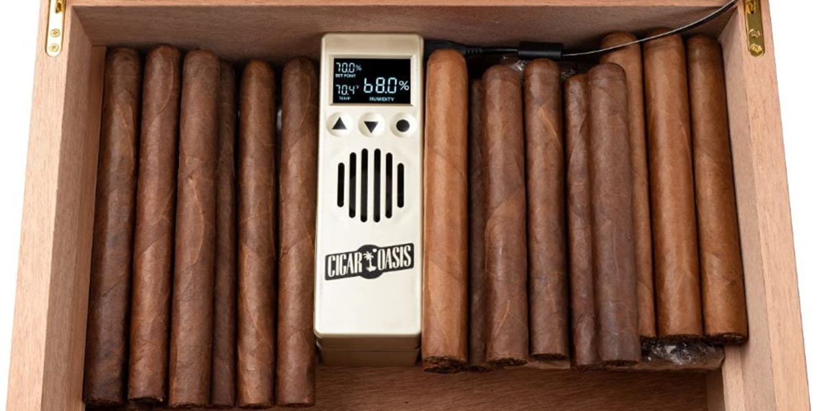 12 Best Cigar Humidifier for Your Humidor Reviewed & Buyer’s Guide