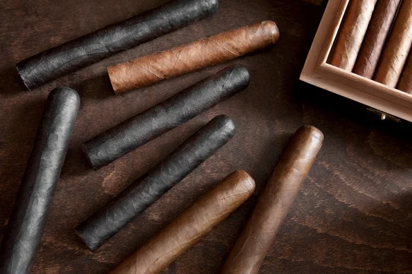 maduro cigars