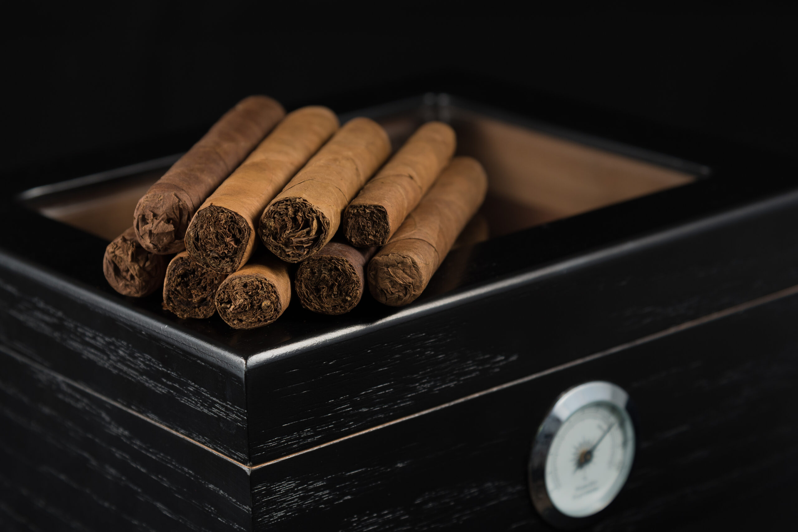 6 Best Humidors for Beginners Reviewed