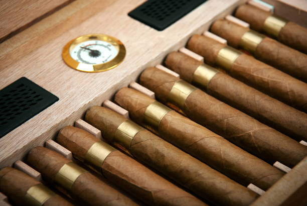Why and How To Separate Cigars in a Humidor