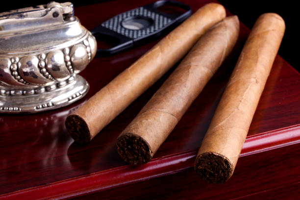 Three Large Cigars close-up sitting on cherry wood humidor. One Torpedo shape and two Parejo (normal) shape cigars. Image shot with Canon 5D Mark2, 100 ISO, EF 100mm f/2.8L Macro IS USM lens, studio strobes.