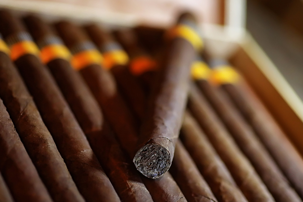 Do I Have to Season a Cigar Humidor? The Importance of Proper Preparation